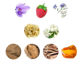 عطر تام فورد توسکان لدر | TOM FORD Tuscan Leather