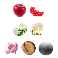 عطر لانوین مدرن پرنسس | Lanvin Modern Princess