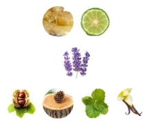 عطر جورجیو امپریو ارمانی استرانگر ویت یو ابسولوتلی | Emporio Armani Stronger With You Absolutely