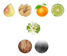 عطر بلو تالیسمان اکس نیهیلو | Ex Nihilo Blue Talisman