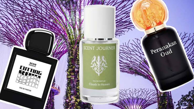 بهترین ادکلن برای فصل‌های متفاوت